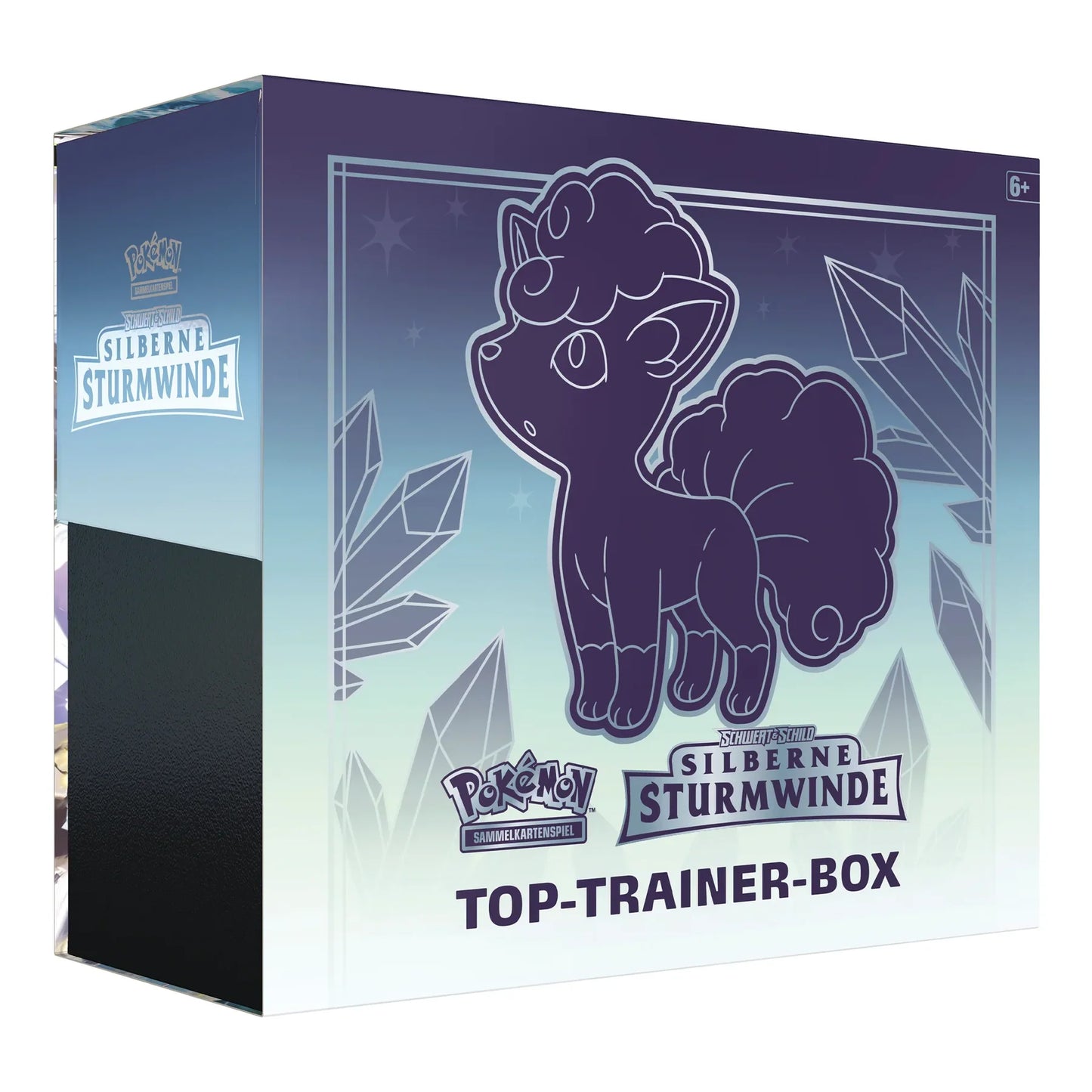 Silberne Sturmwinde Top Trainer Box